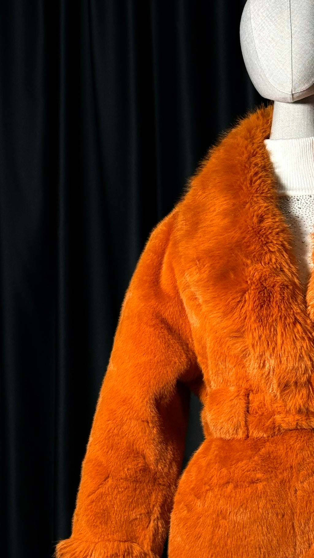 Turuncu Kuşaklı Kürk Kaban